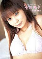 Beach Angels -In�Ί_�� & �|�x��