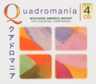 Sym.25, 28, 29, 33, 35, 36, 38, 39, 40, 41: E.bour / Swr So