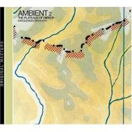 Ambient 2 -The Plateaux Of Mirror