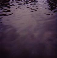 We Move Through Weather