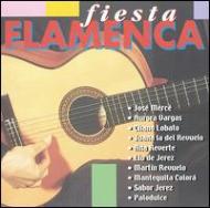Various/Fiesta Flamenca