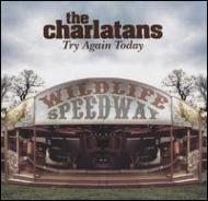 The Charlatans (UK)/Try Again Today