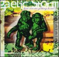 Gaelic Storm/How Are We Getting Home