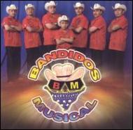 Bandidos Musical/En Realidad