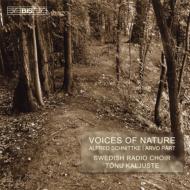 Schnittke / Part/Voices Of Nature Etc / Dopo La Vittoria： Kaljuste / Swedish Radio. cho