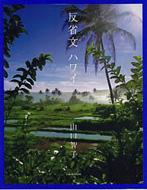 ���ȕ��n���C