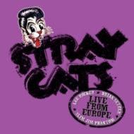 Stray Cats/Stray Cats Live In Paradiso Vol.1
