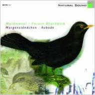 Natural Sound -Forest Blackbird