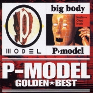 S[fxXg P-MODEL P-MODEL/big body
