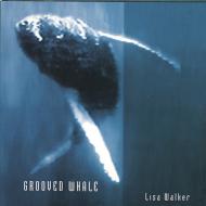 Grooved Whale