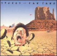 Tygers Of Pan Tang/Burning In The Shade