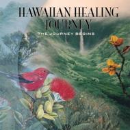 Hawaiian Healing Journey The Journey Begins