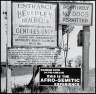 This Is The Afro -Semitic Experience