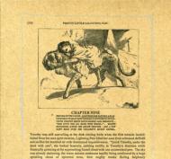 Silver Mountain Reveries/Pretty Little Lightning Paw
