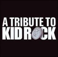 Various/Tribute To Kid Rock  His Roots