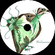 Chlorgeschlecht Consulting