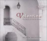 Taliesin Orchestra/Valentine - Tribute To Jim Brickman