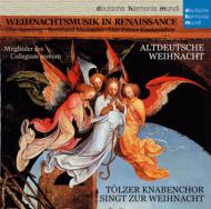 Weihnachtmusik In Renaissance