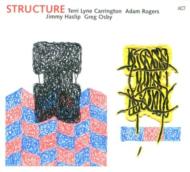 Terri Lyne Carrington/Structure