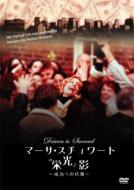 �}�[�T �X�`�����[�g�̉h���Ɖe