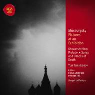 ॽ륰1839-1881/Pictures At An Exhibition Etc Temirkanov / Rpo