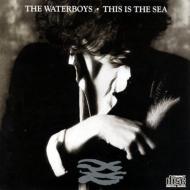 Best Of The Waterboys 