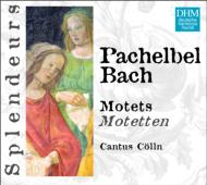 Baroque Classical/Motetes-j. c.bach J. m.bach Pachelbel Junghanel / Cantus Colln