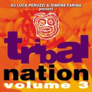 Various/Tribal Nation Vol.3