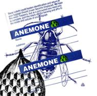 J's Bee/Anemone