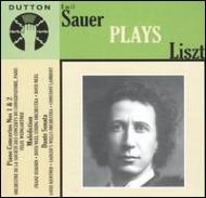 Piano Works: Sauer