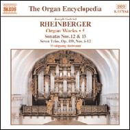 Organ Works Vol.5: Rubsam(Org)