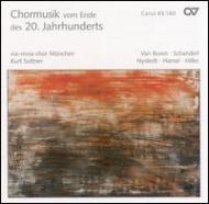 羧ʥ˥Х/Chorus Music Of End 20th Century Suttner / Munich Via-nova-chor