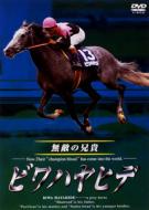 �r���n���q�f ���G�̌Z�M