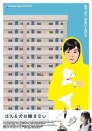 Barking Dogs Never Bite