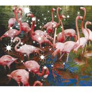 Hitomi no Jyunin (CCCD)