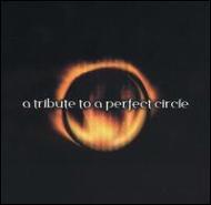 Various/Tribute To A Perfect Circle