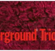 Chicago Underground Trio/Slon