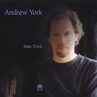 Andrew York Into Dark