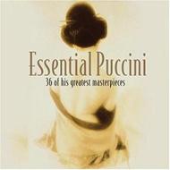 プッチーニ (1858-1924)/Essential Puccini