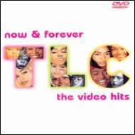 Now & Forever -The Video Hits(Jewel Case)