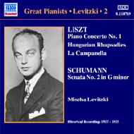 Mischa Levitzki: Complete Recordings Vol.2