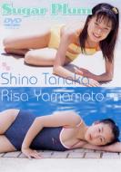 �c���R�{dvd