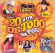 Various/20 Hits De Todo Un Poco
