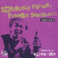 Tribute To Blink 182 Seriously Funny.Funnily Serious!!!