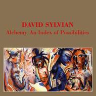 Alchemy 錬金術 : David Sylvian | HMV&BOOKS online - VJCP-68607