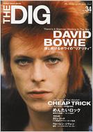 Dig: No.34