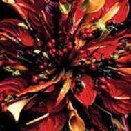 Reboot #002 -Mixed By Dj Mayuri