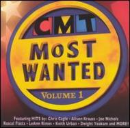 Various/Country Music Television Vol.1- Most Wanted