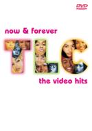 Now & Forever -The Video Hits(Amaray Case)