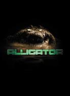 �A���Q�[�^�[ ���~�e�b�h �p�b�N